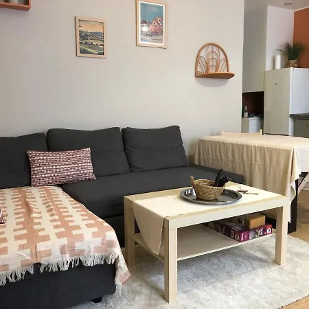 Apartment Le Cozy Near Center Train Station & Sciencespo Dijon