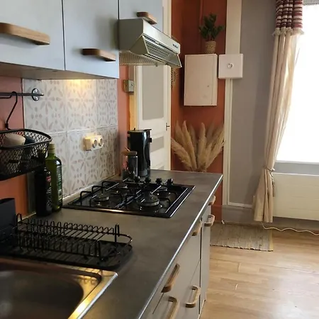 Le Cozy Near Center Train Station & Sciencespo Dijon