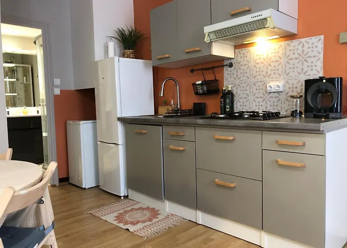 Apartment Le Cozy Near Center Train Station & Sciencespo Dijon