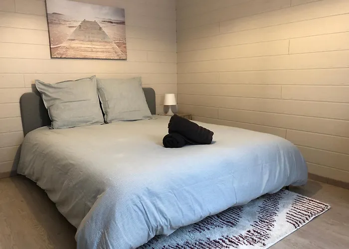 Le Cozy Near Center Train Station & Sciencespo Apartment *