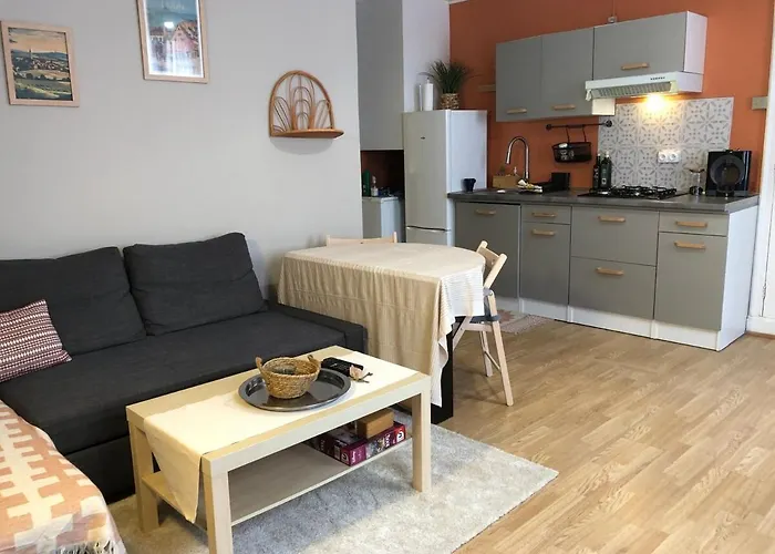 Le Cozy Near Center Train Station & Sciencespo * Dijon