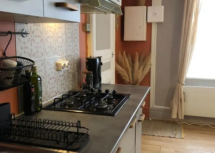 Le Cozy Near Center Train Station & Sciencespo דיז'ון